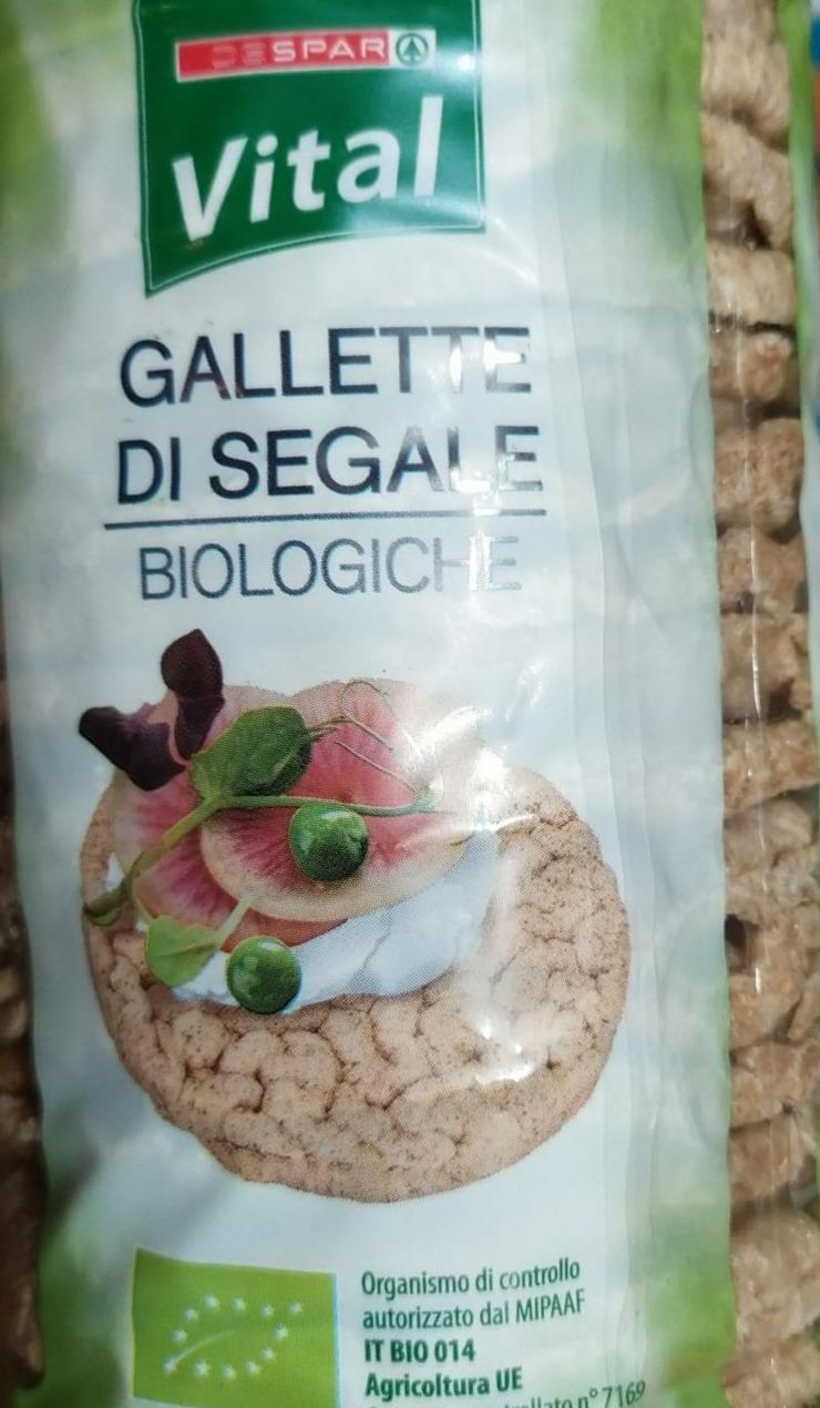 Fotografie - Gallette di segale Vital