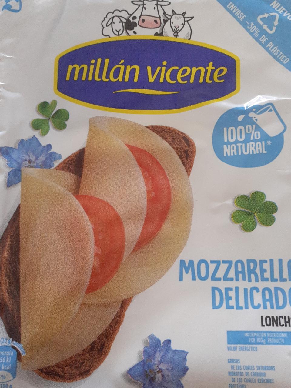 Fotografie - Mozzarella Delicado Millán Vicente