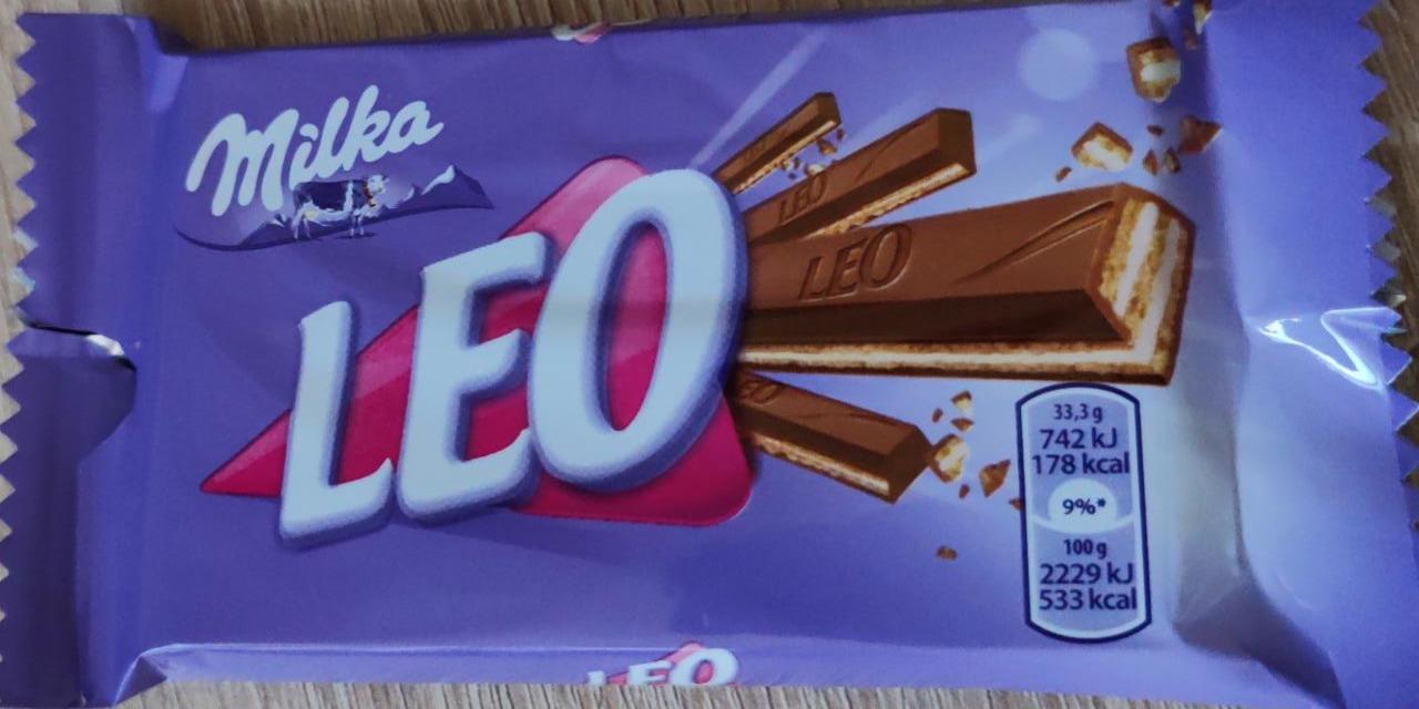 Fotografie - Leo Milka