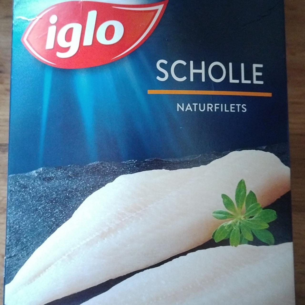 Fotografie - Scholle Naturfilets Iglo