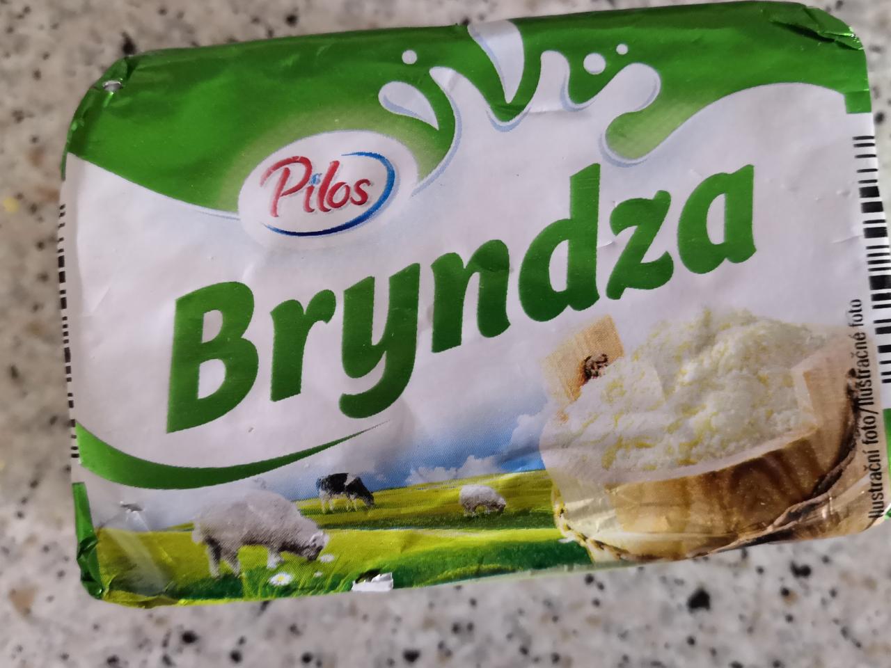 Fotografie - Brynza Pilos