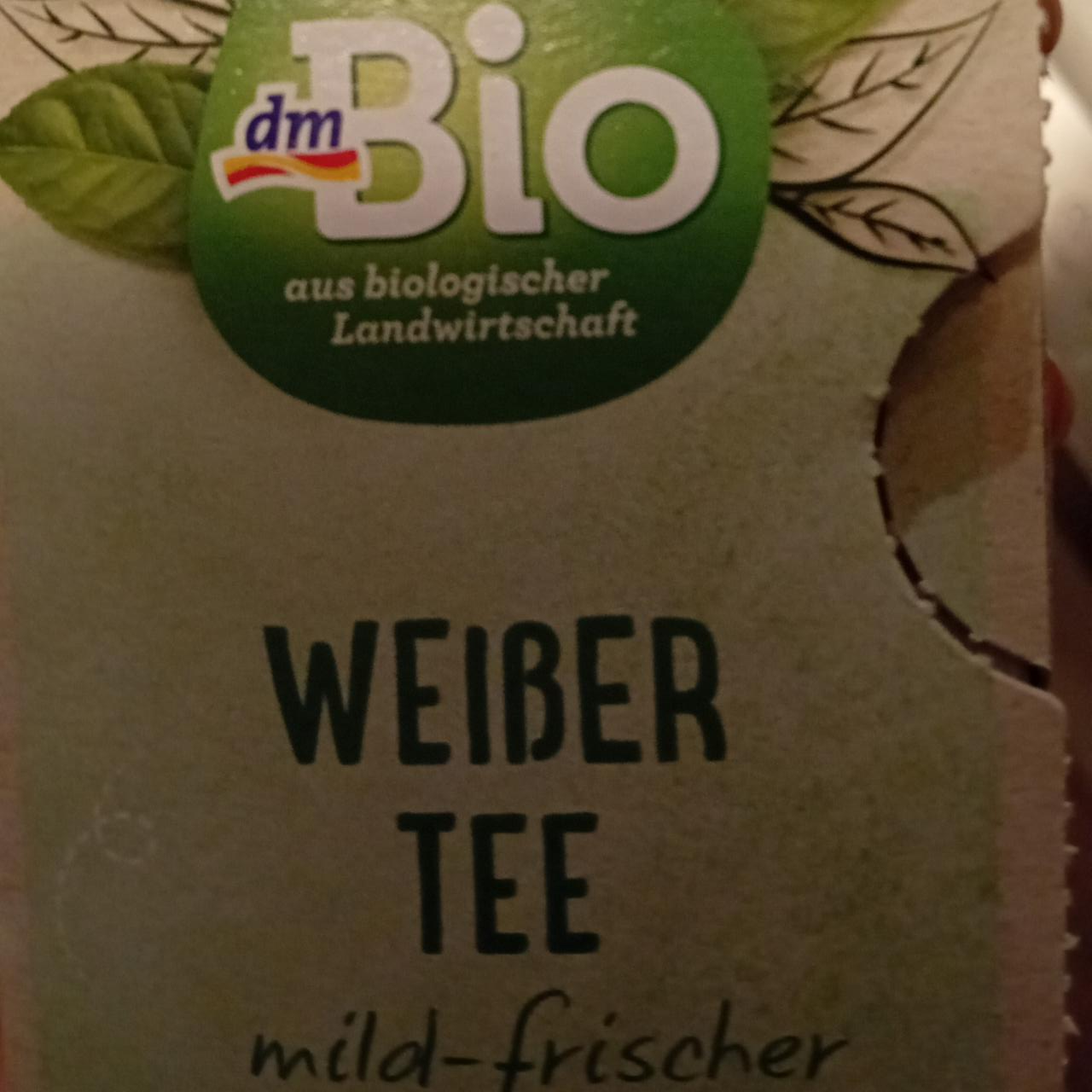 Fotografie - White Tea dmBio