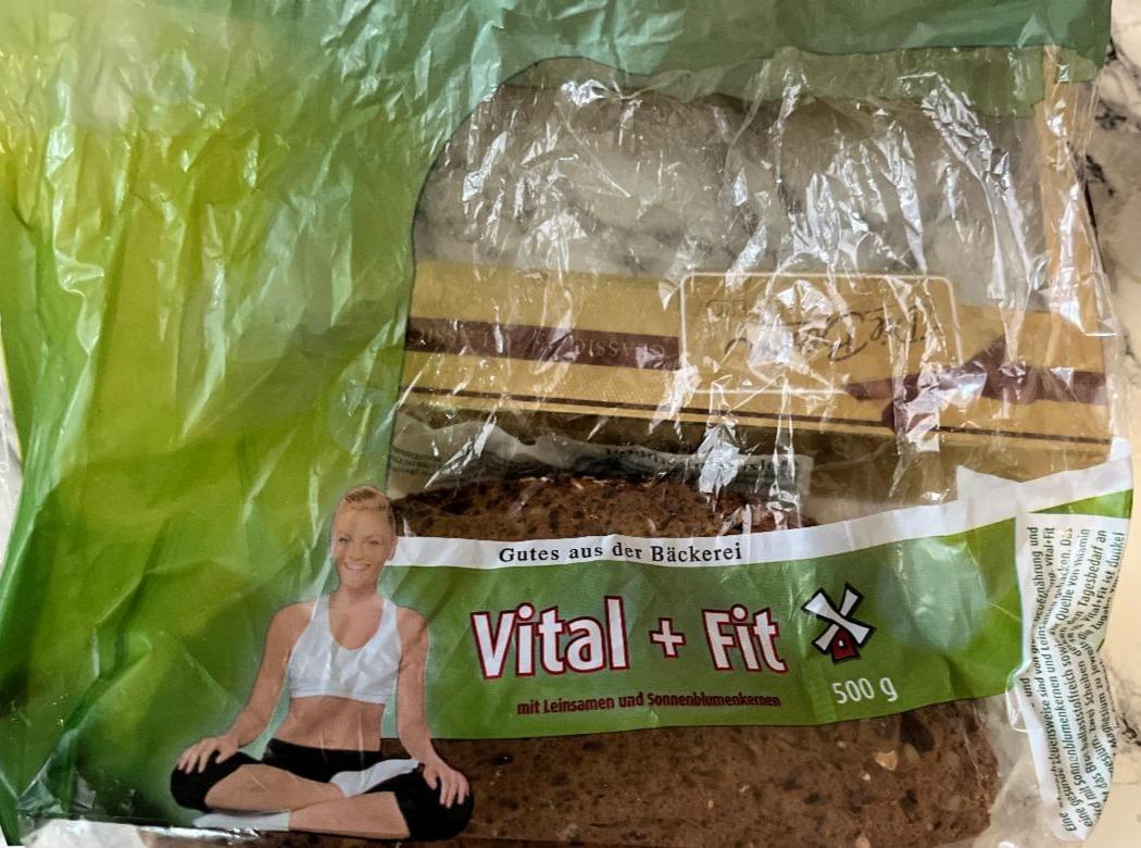 Fotografie - Vital + Fit Malzmehrkornbrot Gutes aus der Bäckerei