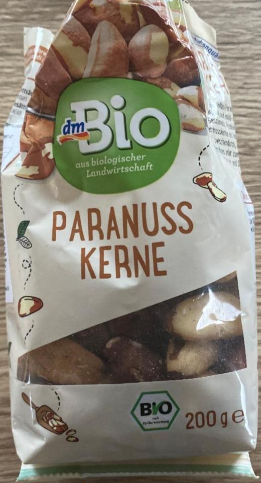 Fotografie - Paranuss Kerne dmBio