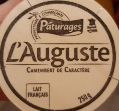 Fotografie - camembert l'auguste