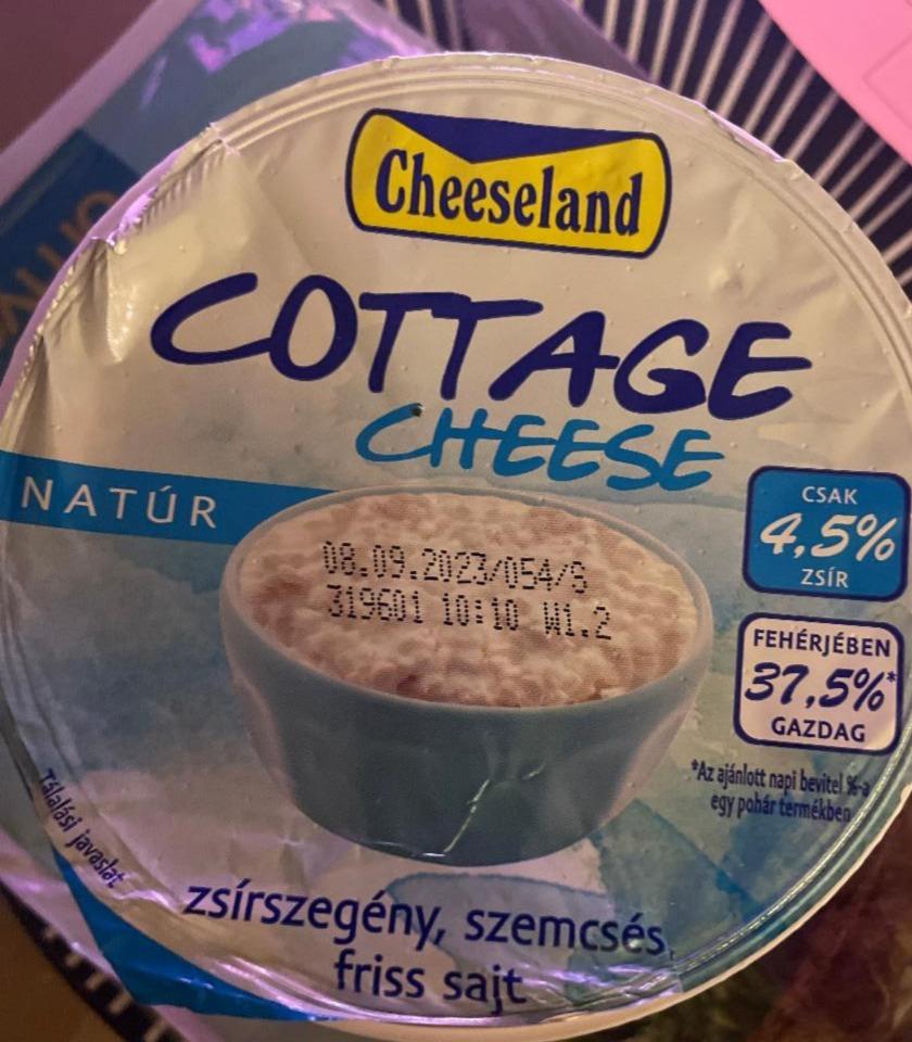 Fotografie - Cottage cheese natur Cheeseland