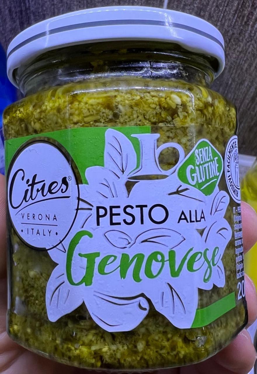 Fotografie - Pesto alla Genovese Citres