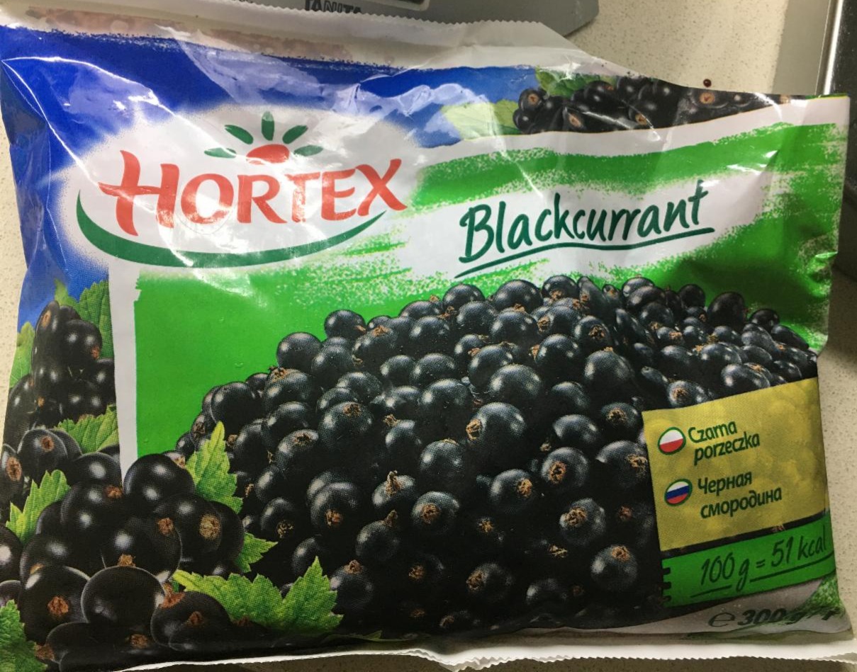 Fotografie - Hortex Blackcurrant