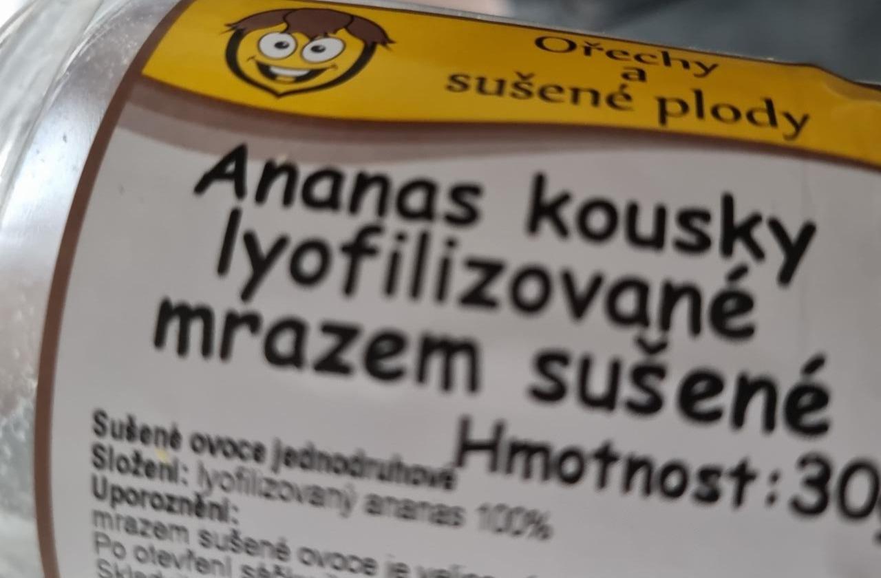 Fotografie - ananas kousky lyofilizované mrazem sušené