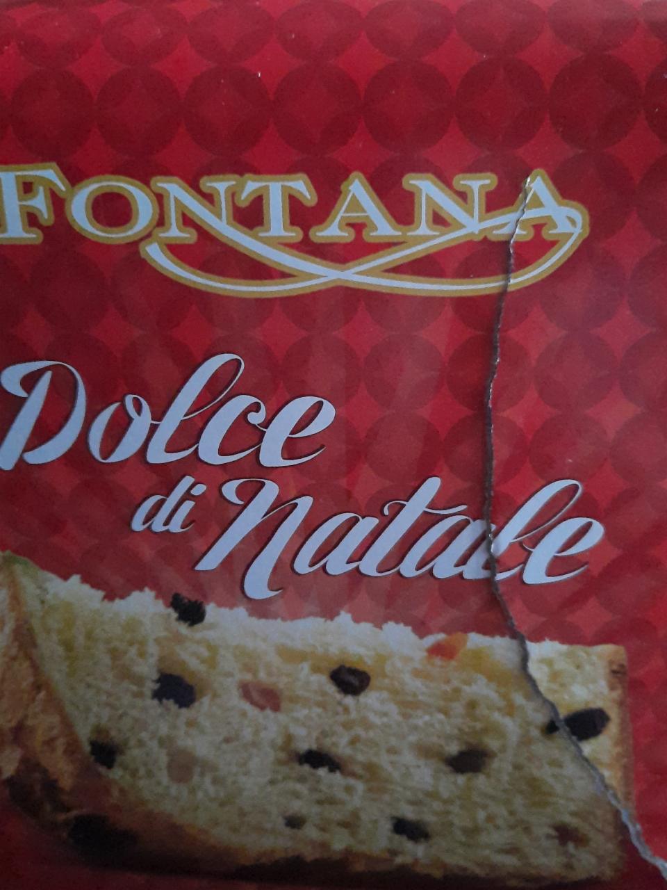 Fotografie - Dolce di Natale Fontana