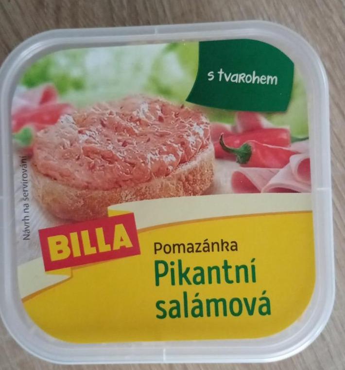 Fotografie - Pomazánka salámová pikantní Billa