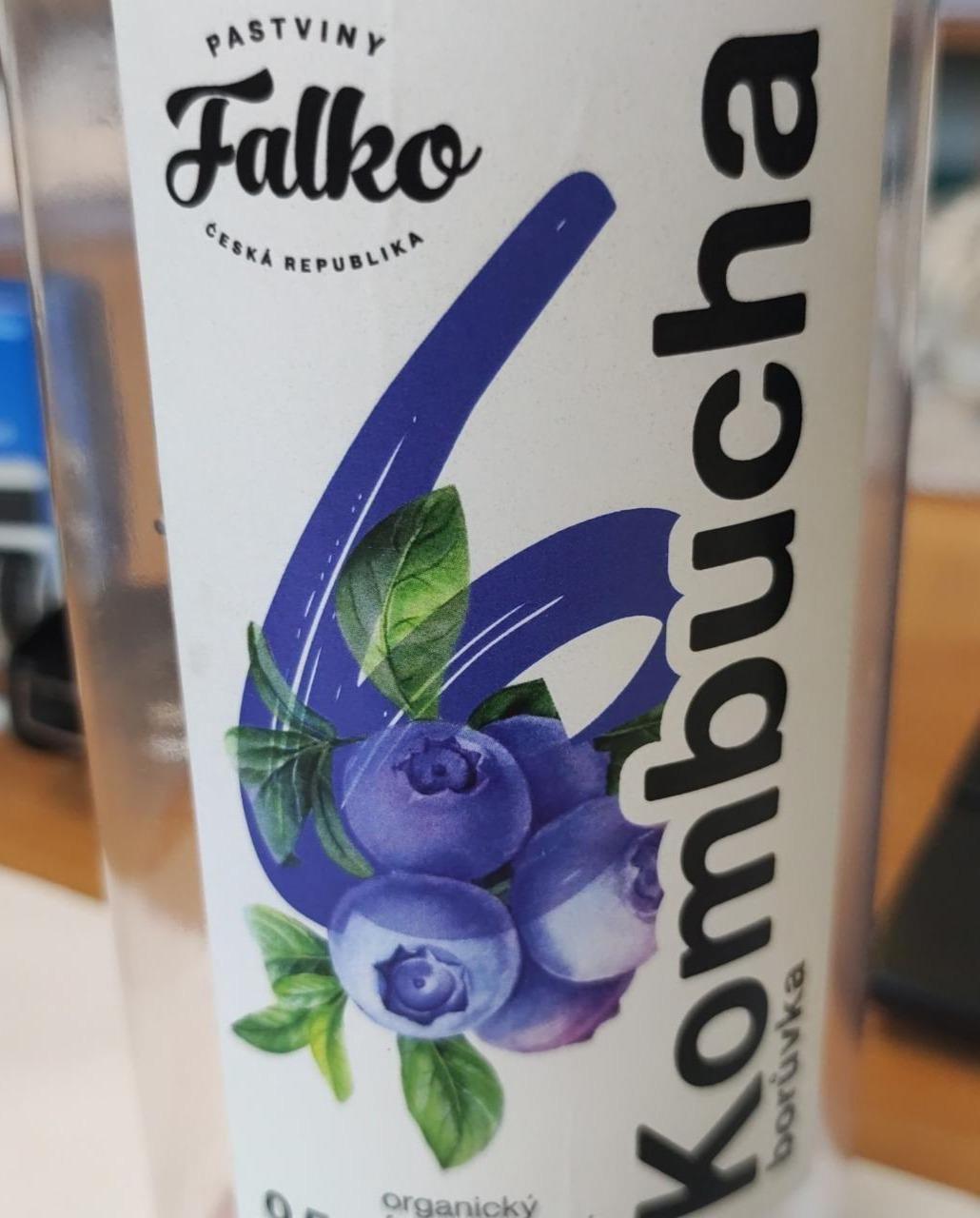 Fotografie - Kombucha borůvka Falko