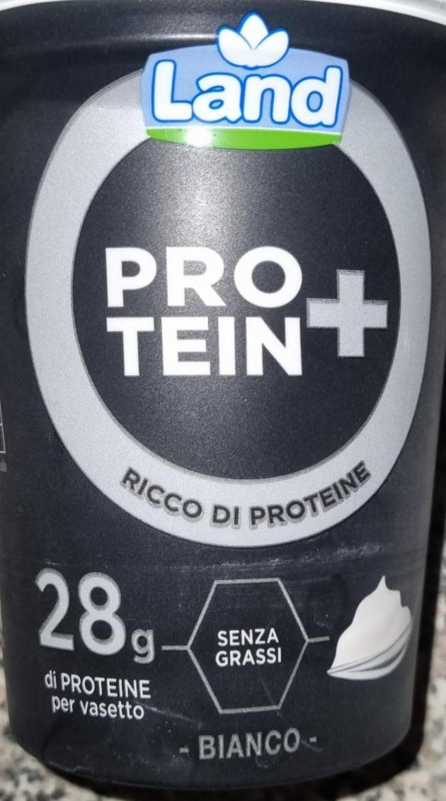 Fotografie - Protein Ricco Di Proteine Bianco Land