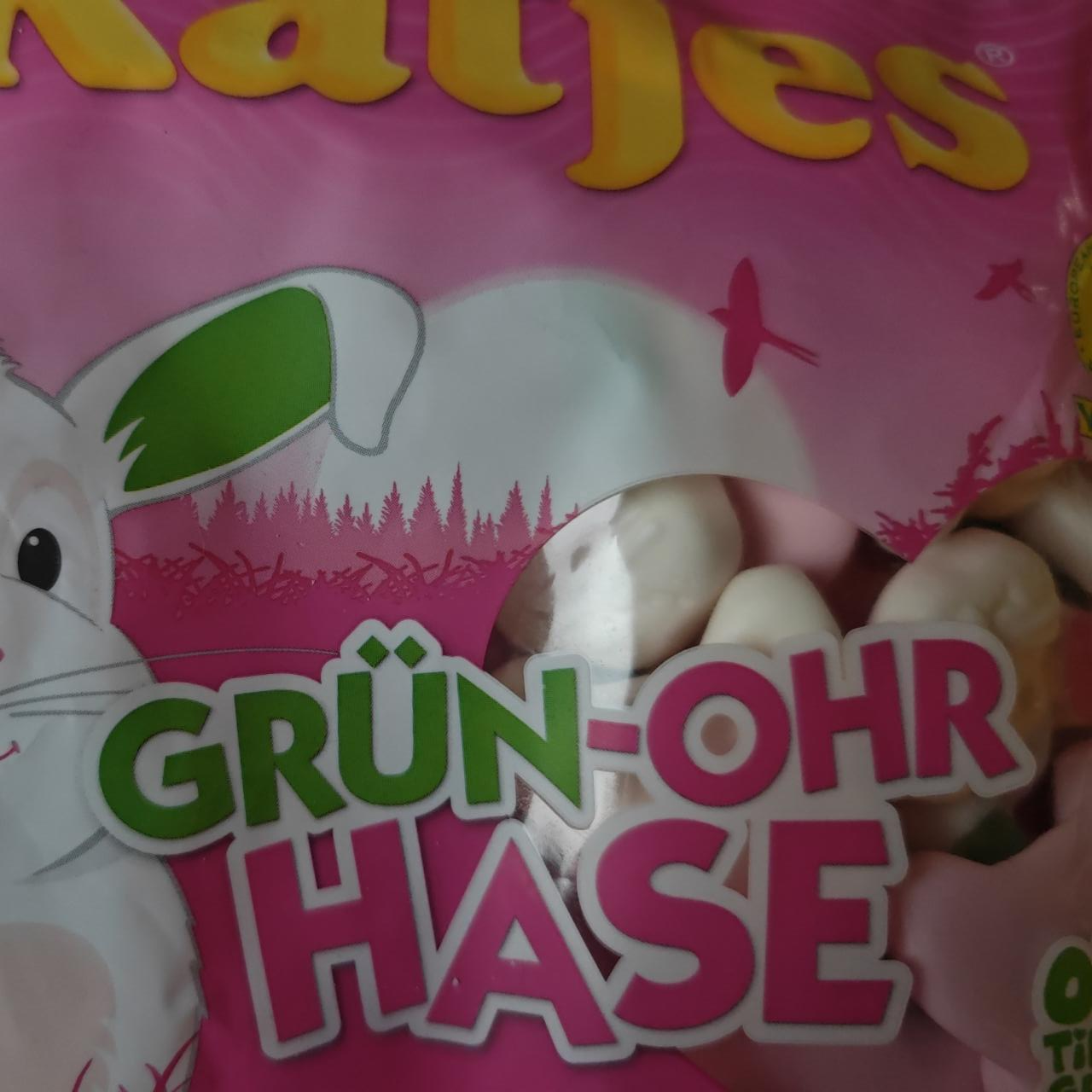 Fotografie - Grün-Ohr Hase Katjes