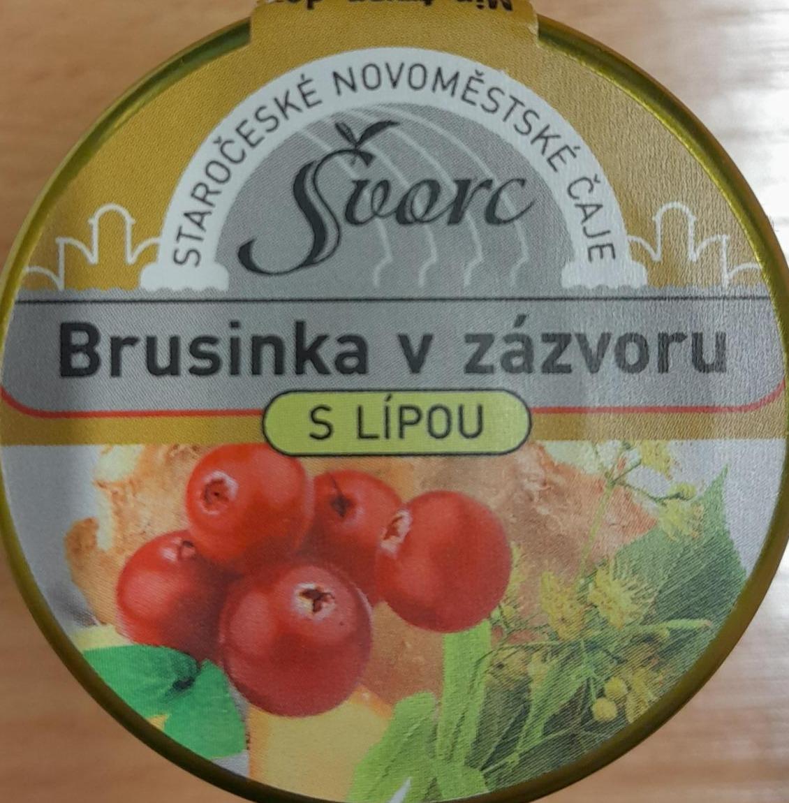 Fotografie - Brusinka v zázvoru s lípou Švorc