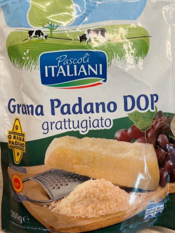 Fotografie - Grana Padano DOP grattugiato Pascoli Italiani