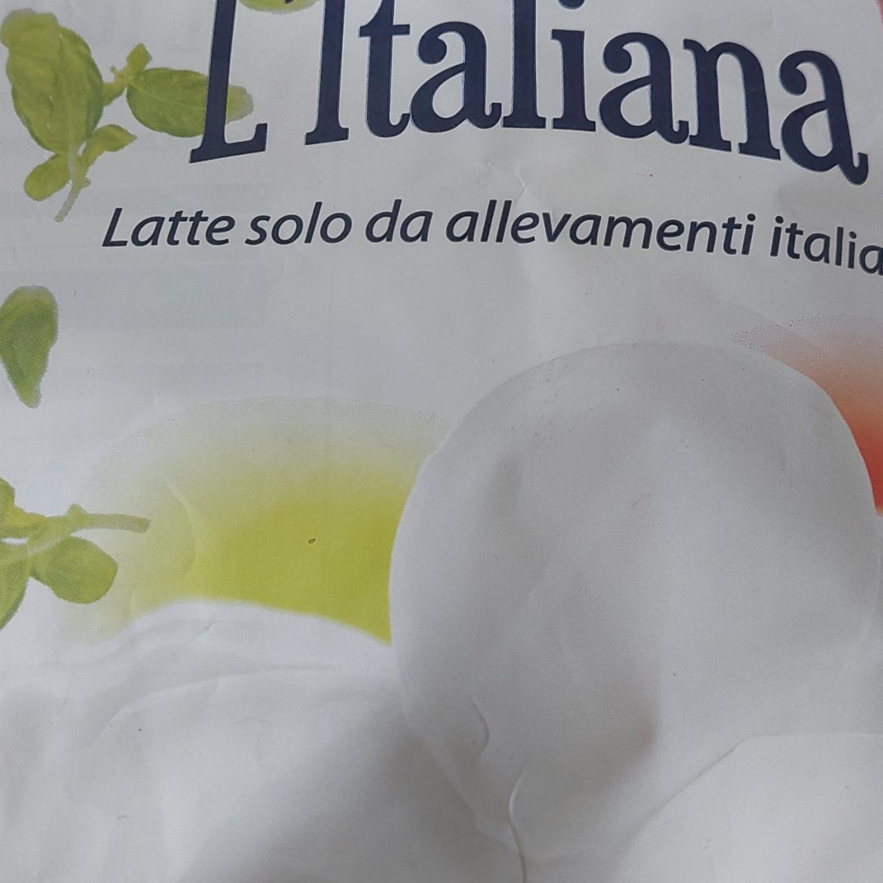 Fotografie - Mozzarella L'Italiana