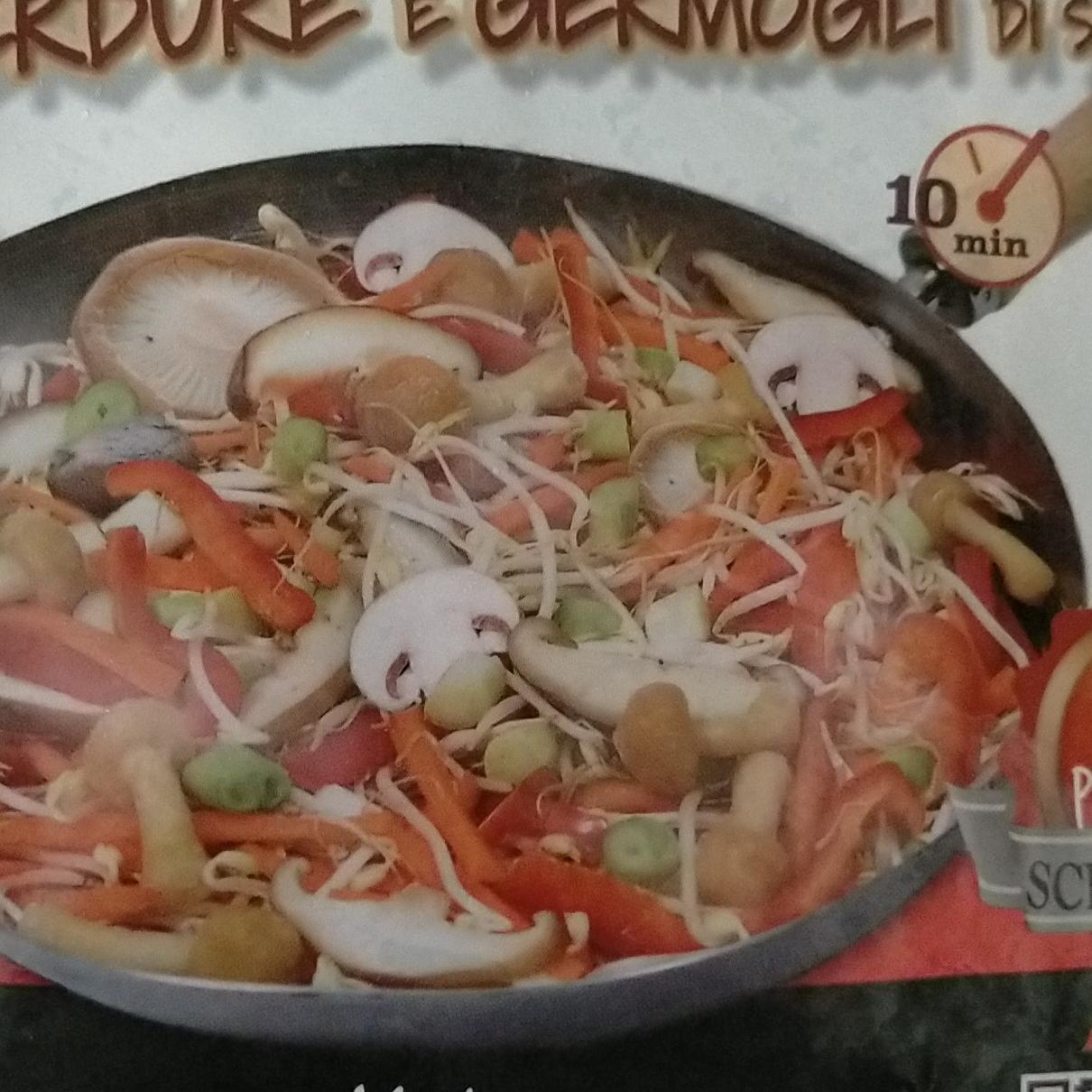 Fotografie - wok di funghi