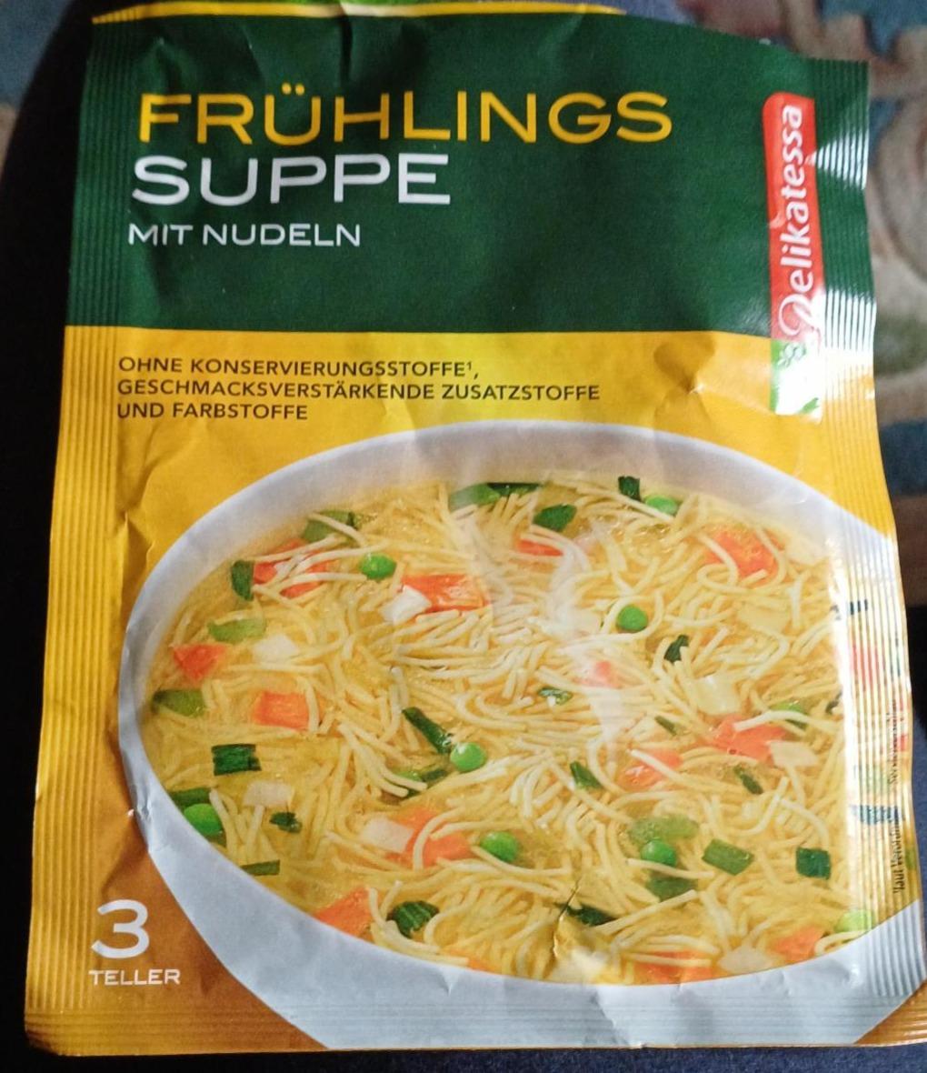 Fotografie - Frühlings suppe mit nudeln Delikatessa