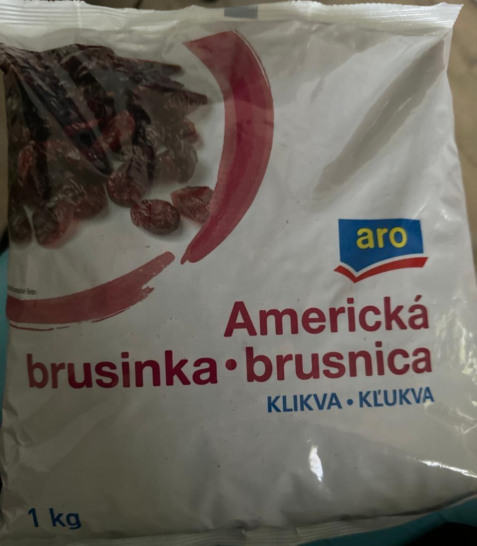 Fotografie - Americká brusinka Aro