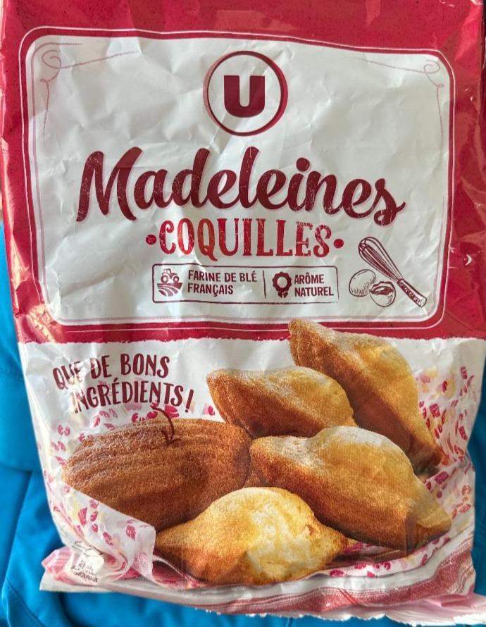 Fotografie - Madeleines coquilles U