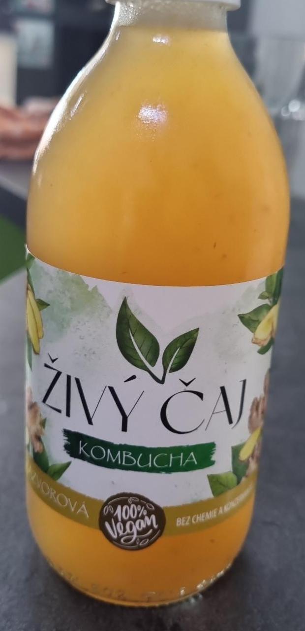 Fotografie - Kombucha zázvorová Živý čaj