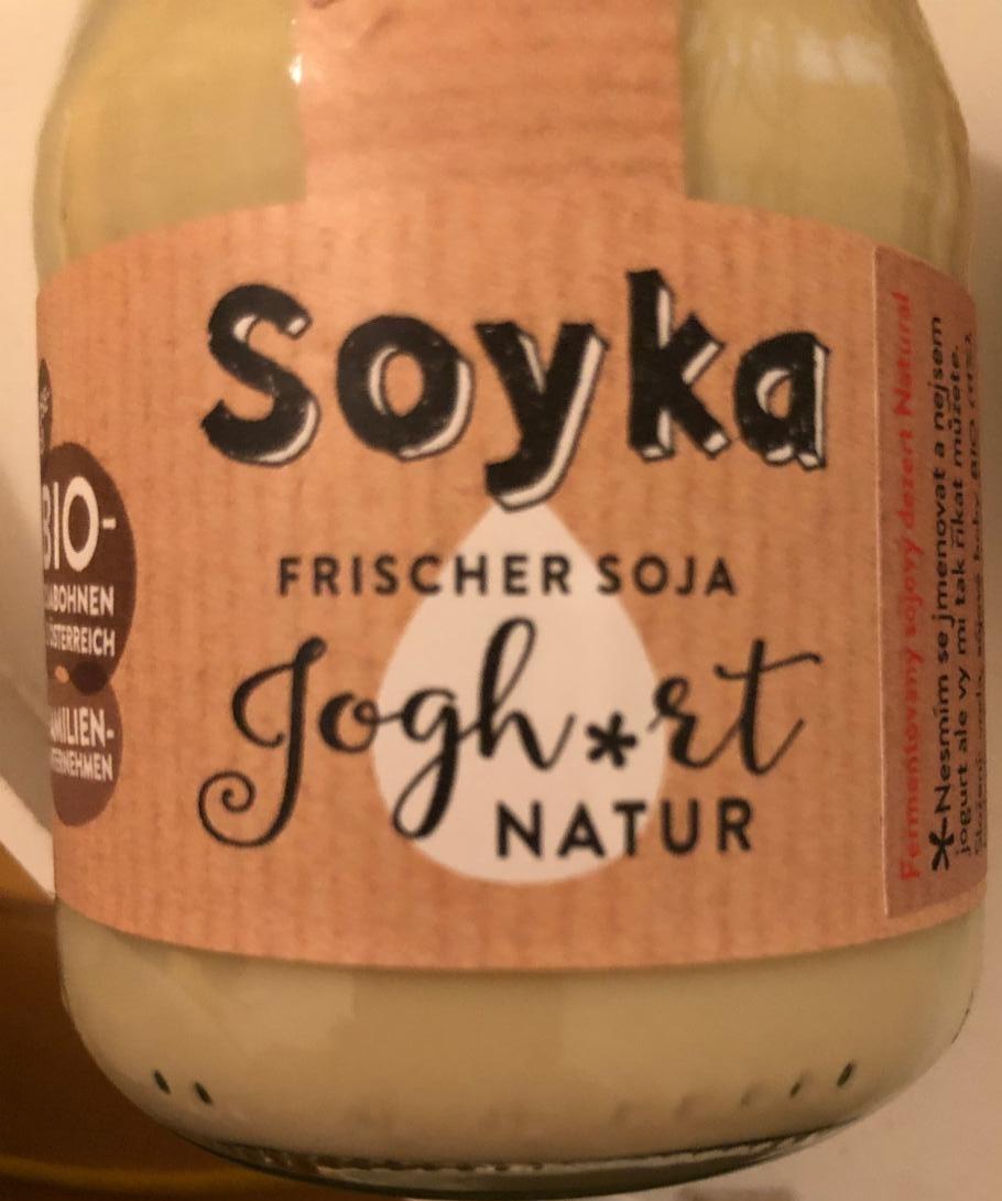 Fotografie - Frischer soja Jogh*rt natural Soyka