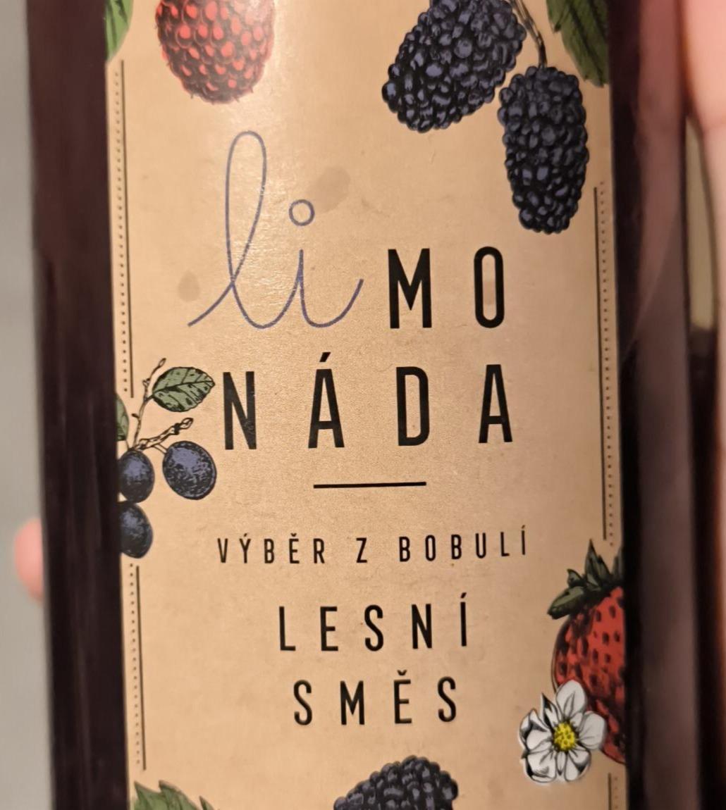 Fotografie - Výběr z bobulí Lesní směs liMonáda