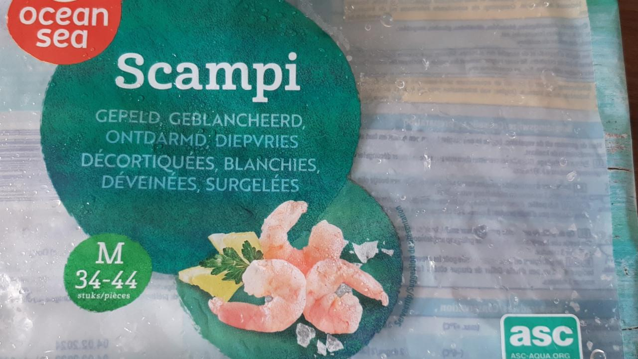 Fotografie - Scampi Ocean Sea