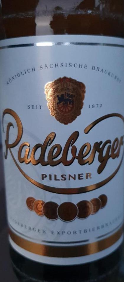 Fotografie - radeberger Pilsner