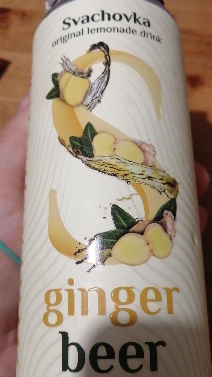 Fotografie - Nealkoholické pivo ginger Beer Svachovka