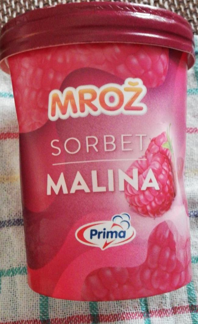 Fotografie - Sorbet Malinový - Mrož