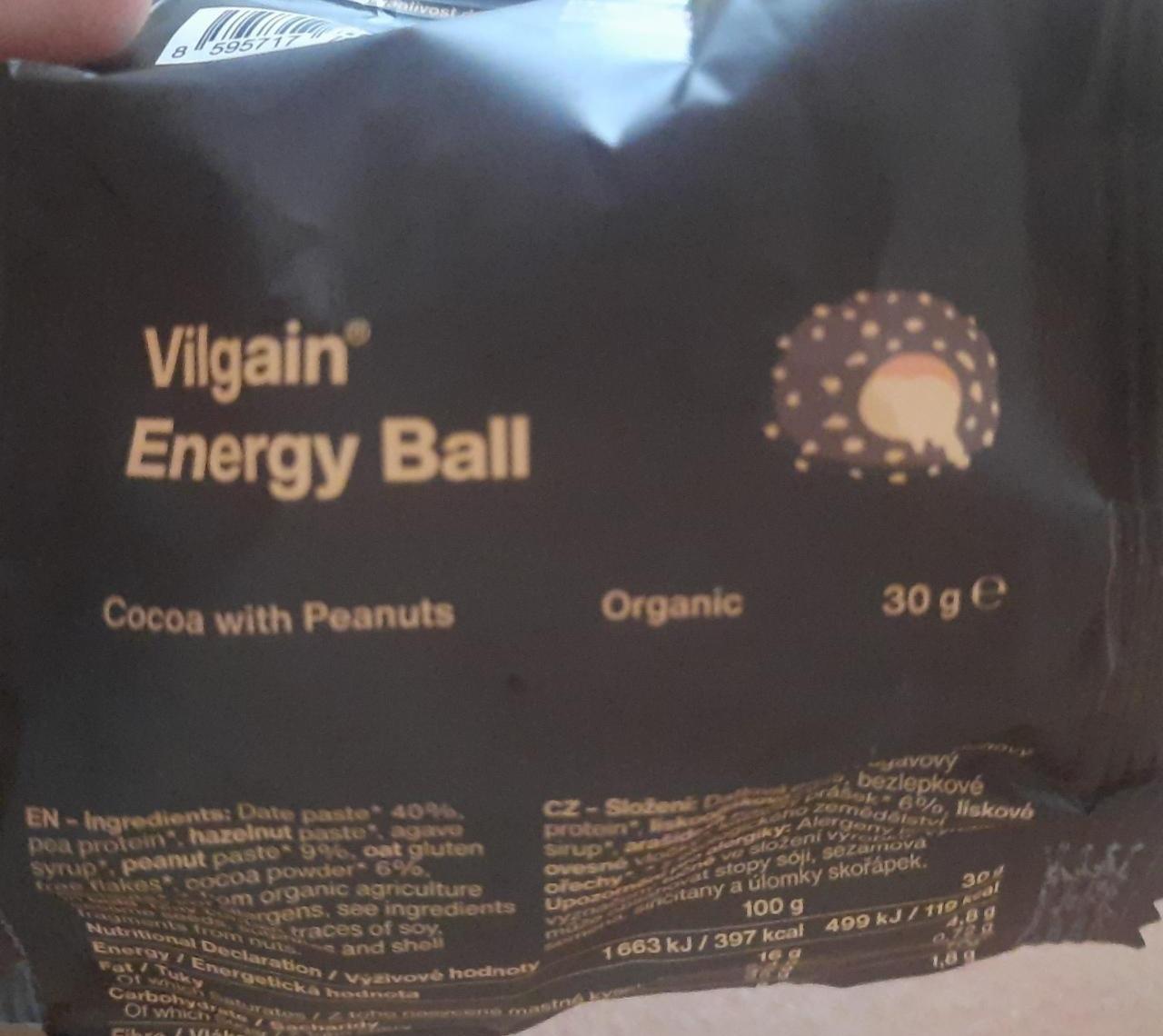 Fotografie - Energy Ball Cocoa with Penauts Vilgain