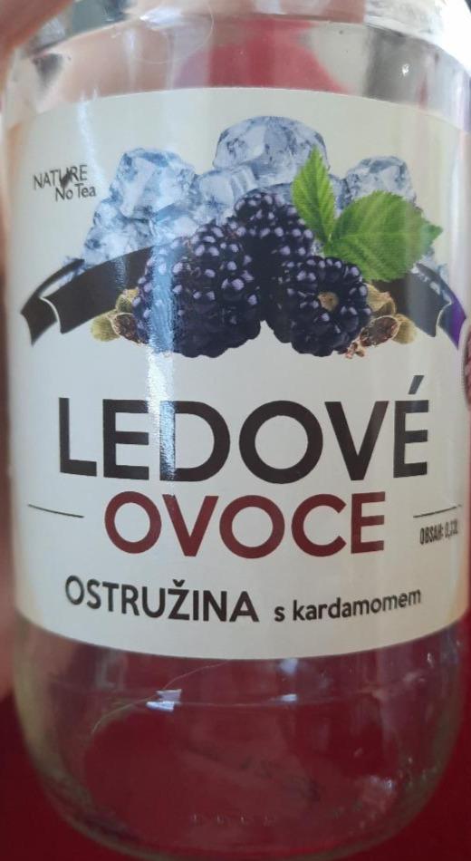 Fotografie - Ledové ovoce ostružina s kardamomem Nature No Tea