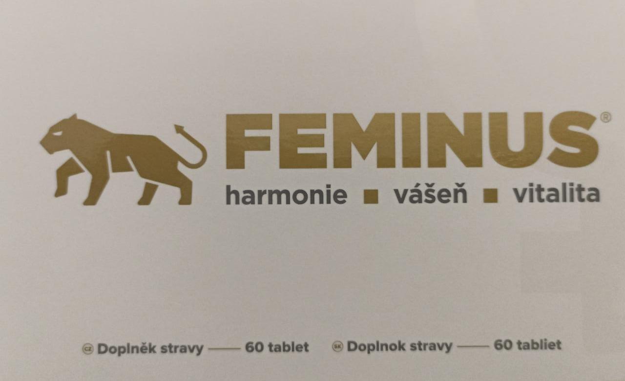 Fotografie - Feminus