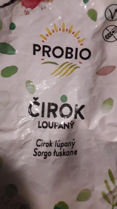 Fotografie - čirok loupany Probio