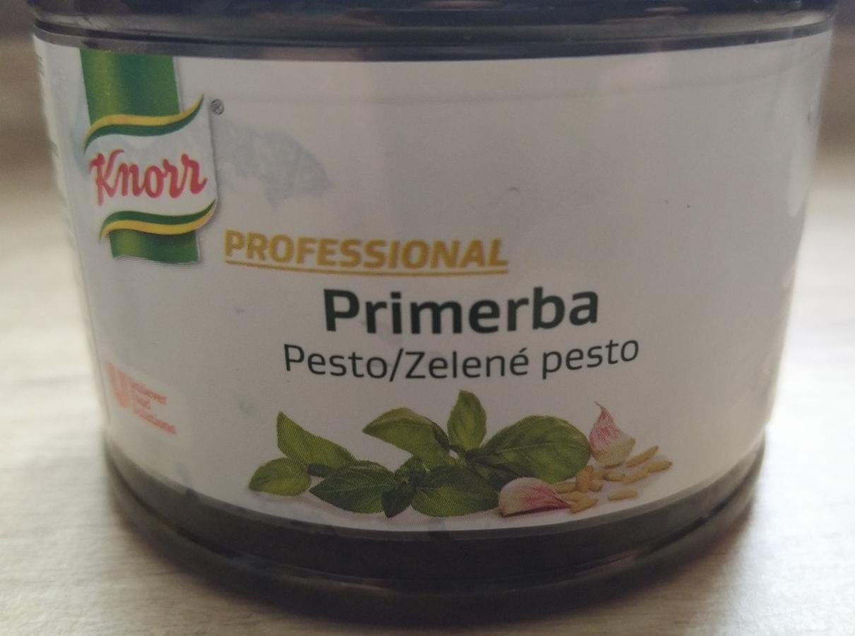 Fotografie - Professional Primerba Zelené pesto Knorr