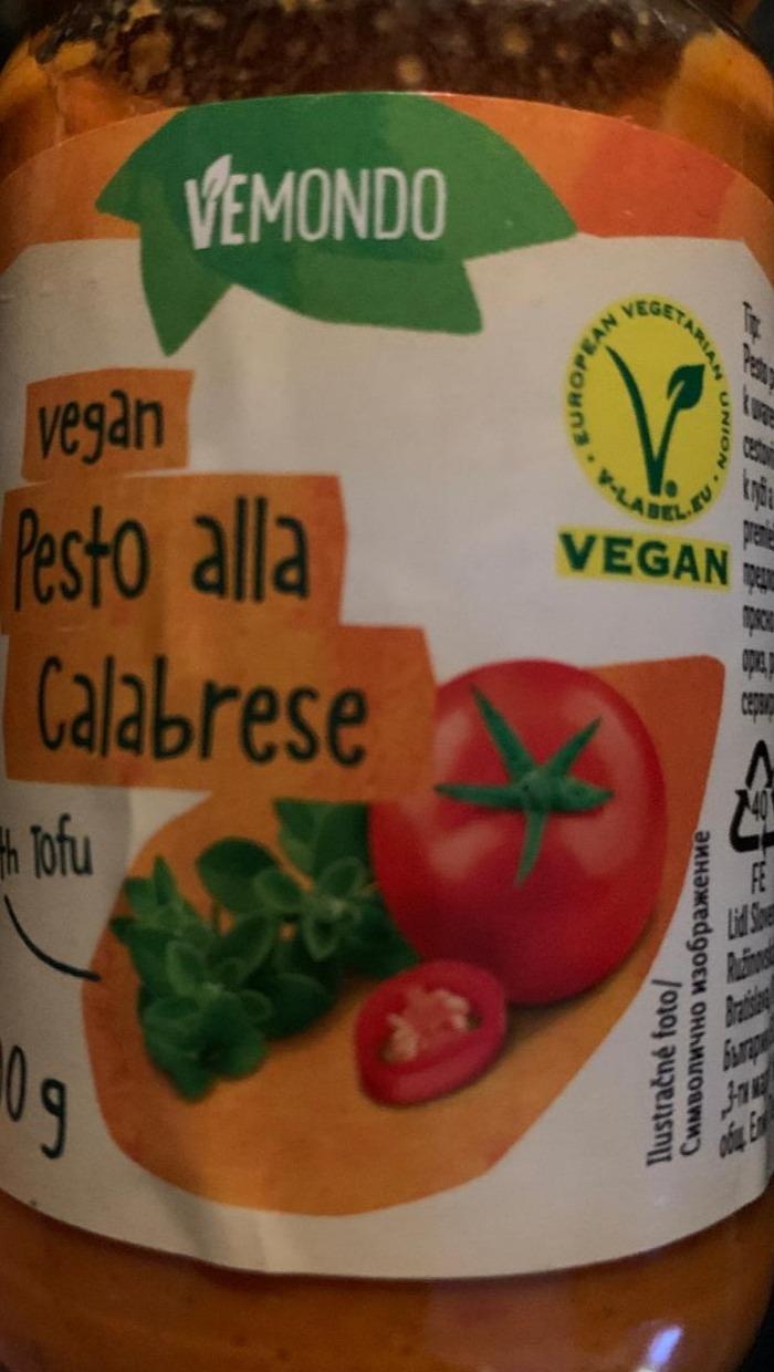 Fotografie - vemondo vegan pesto alla calabrese