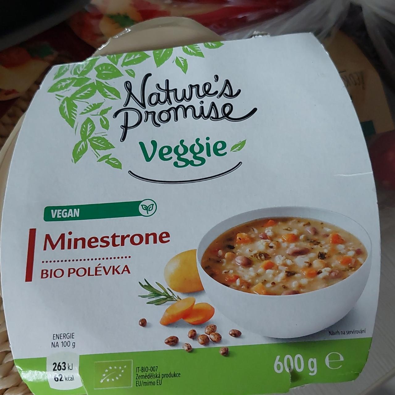 Fotografie - Veggie Minestrone Bio polévka Nature's Promise