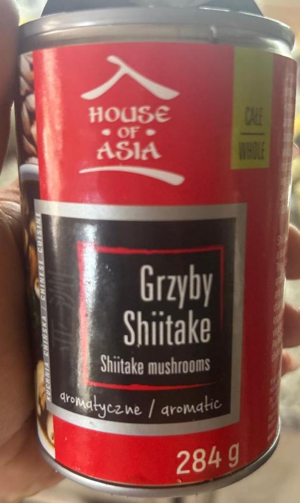 Fotografie - Grzyby shiitake House of Asia