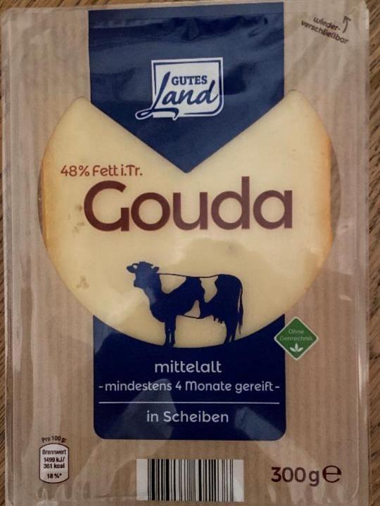 Fotografie - Gouda Gutes Land