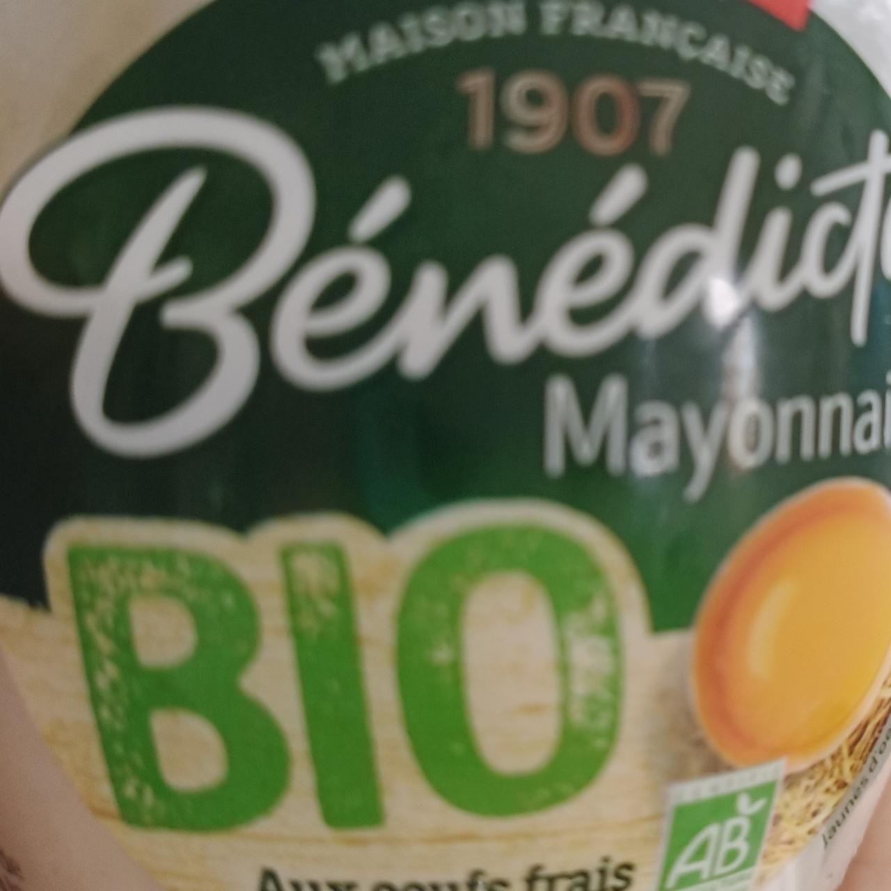 Fotografie - Mayonnaise Benedicta