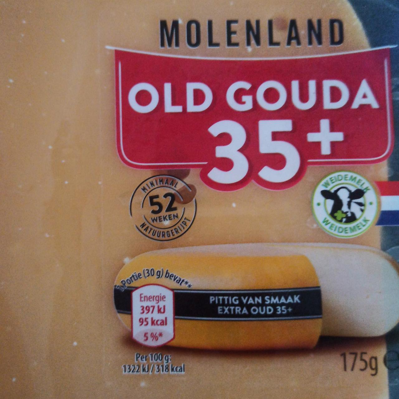 Fotografie - Old Gouda Molenland