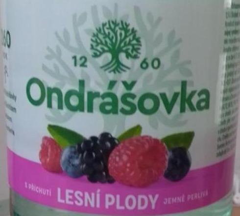 Fotografie - Ondrášovka lesní plody