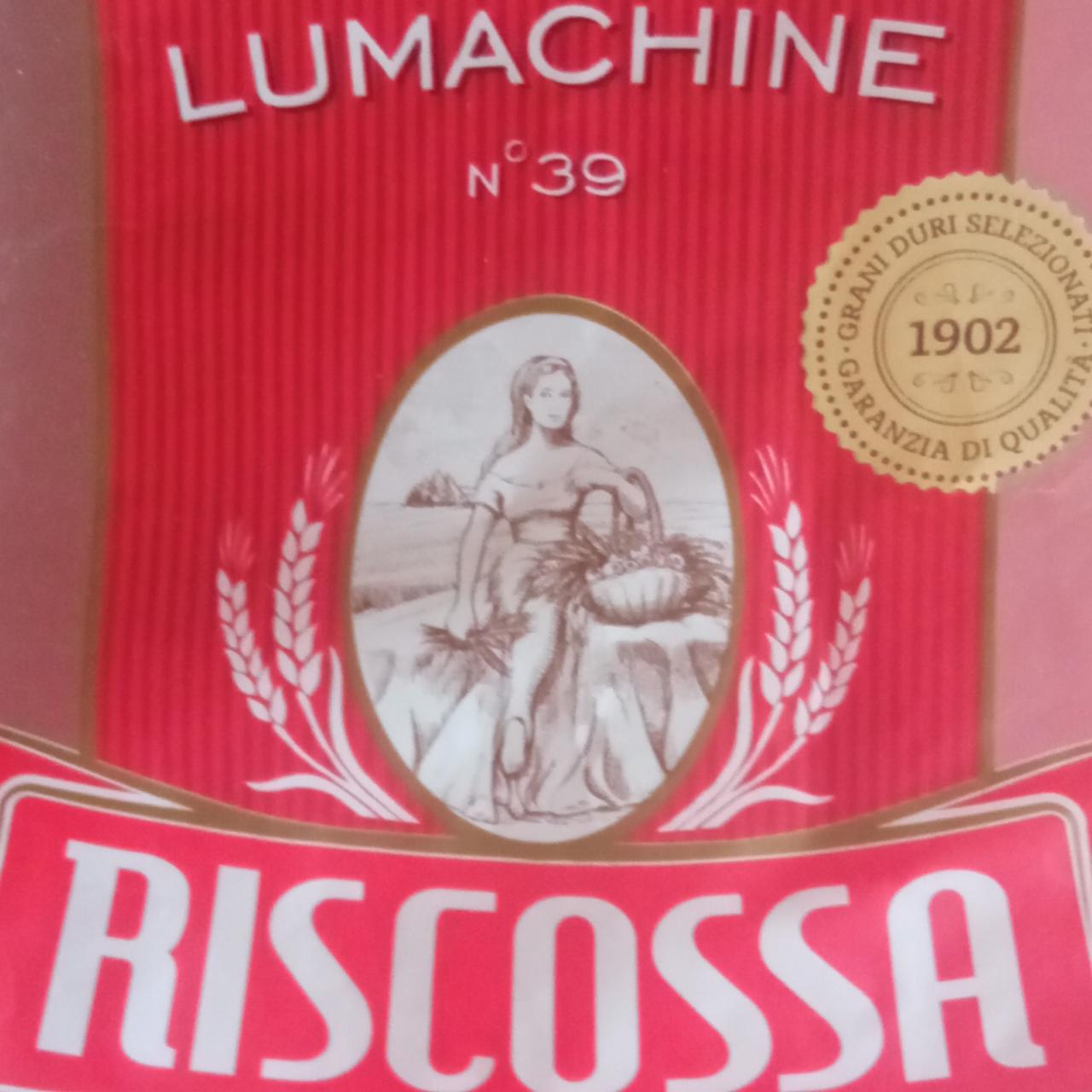 Fotografie - Lumachine n°39 Riscossa