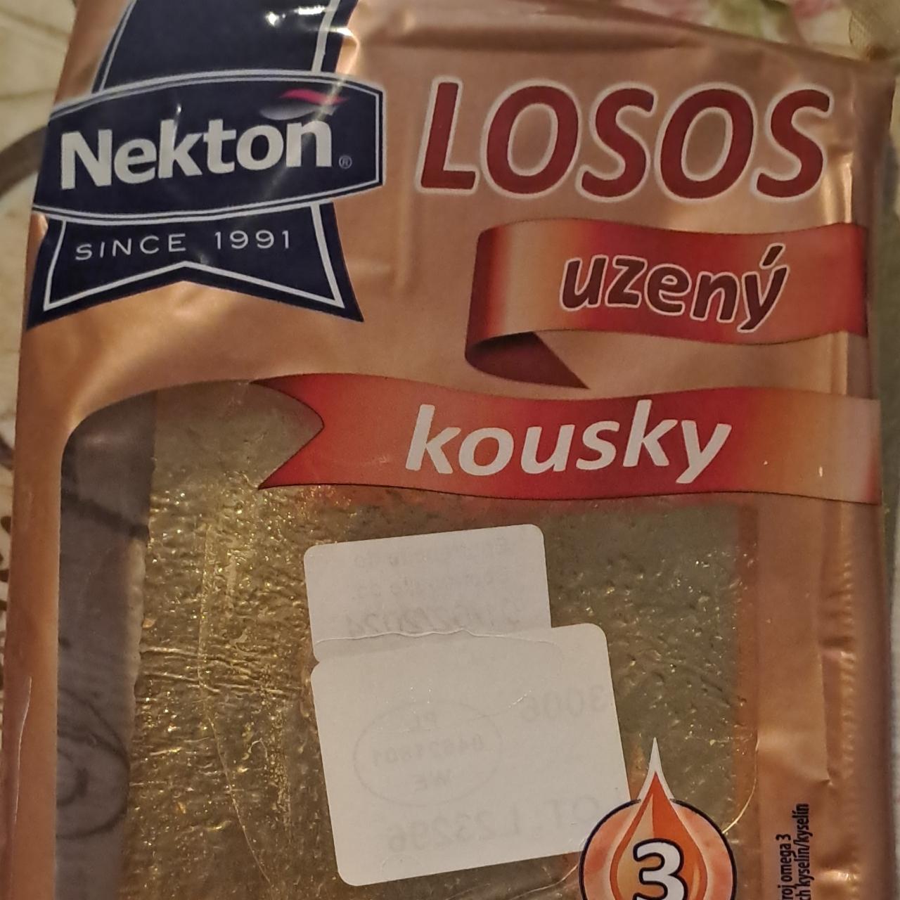 Fotografie - Losos uzený kousky Nekton