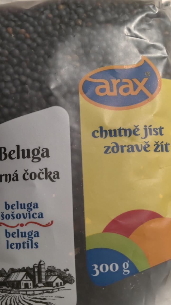 Fotografie - Beluga černá čočka Arax