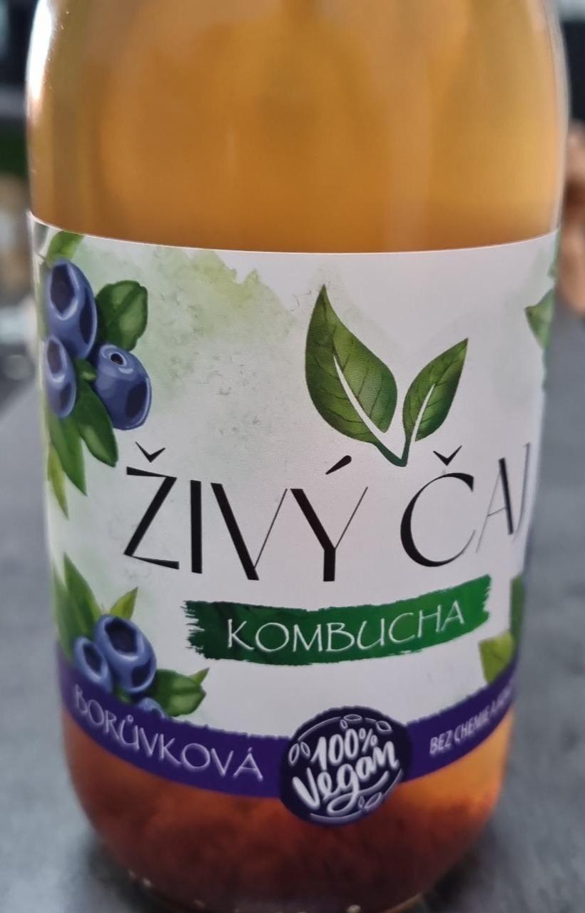 Fotografie - Živý čaj Kombucha borůvková