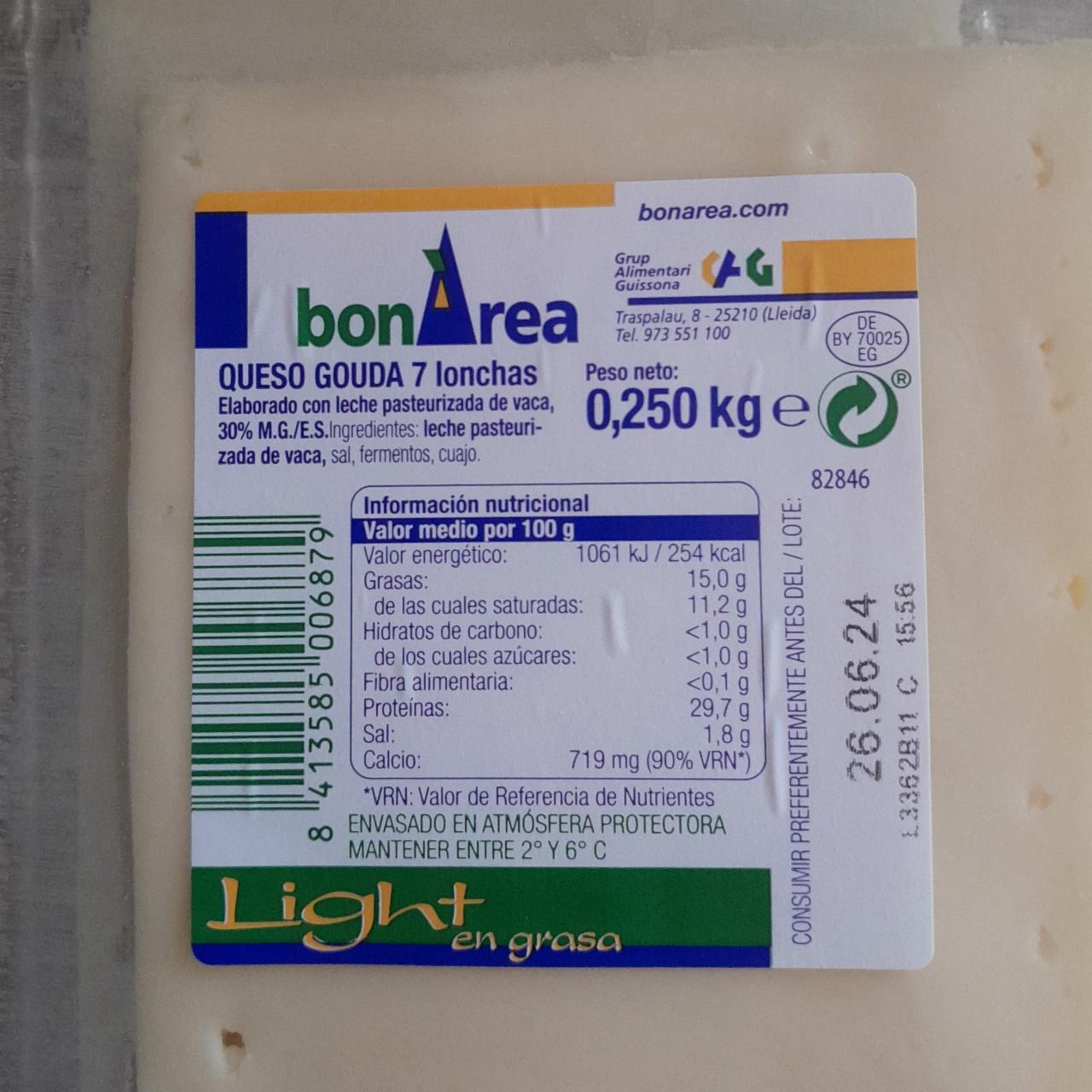 Fotografie - Queso Gouda lonchas bonÀrea