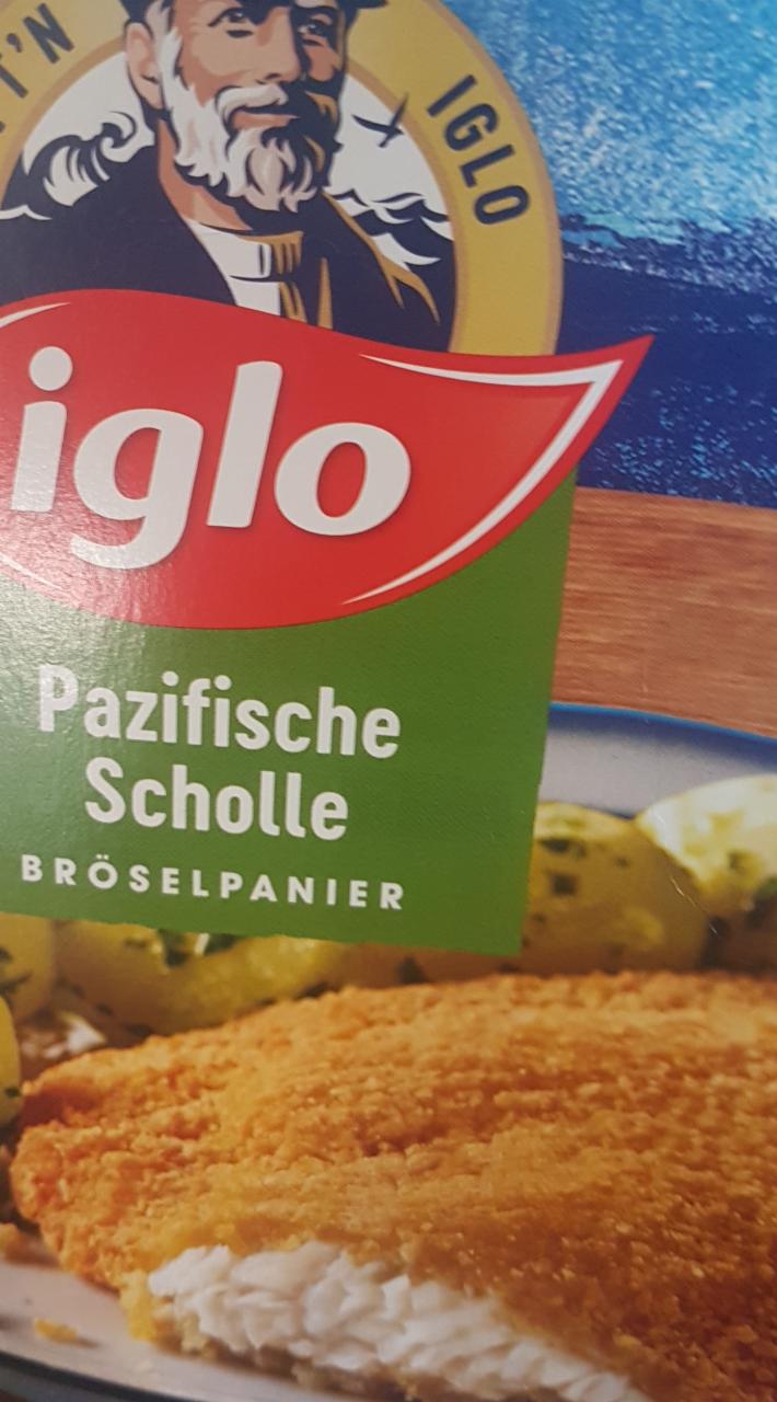 Fotografie - Pazifische Scholle Bröselpanier Iglo